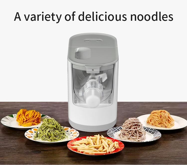 fully automatic pasta machine application
